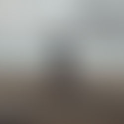 Dave Sorrendino | Give