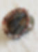 Bracelet Agate Botswana Harmonie - Motivation