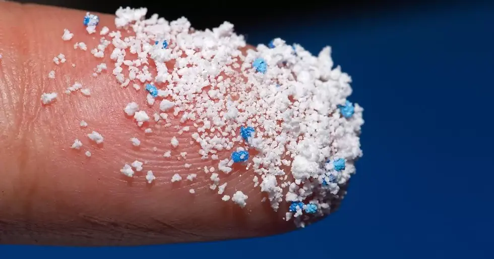 (Austin Air, Microplastics and Nanoplastics: Invisible Hazards)