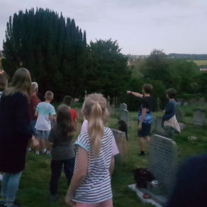 Churchyard Bats