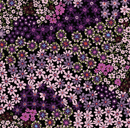 Screen Shot 2022-01-25 at 6.58.57 PM.png