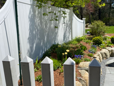 How to Set Gardening Goals, Budget, and Design Your Ideal Garden