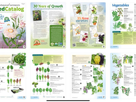 How to Read a Seed Catalog: Tips for Selecting the Best Varieties