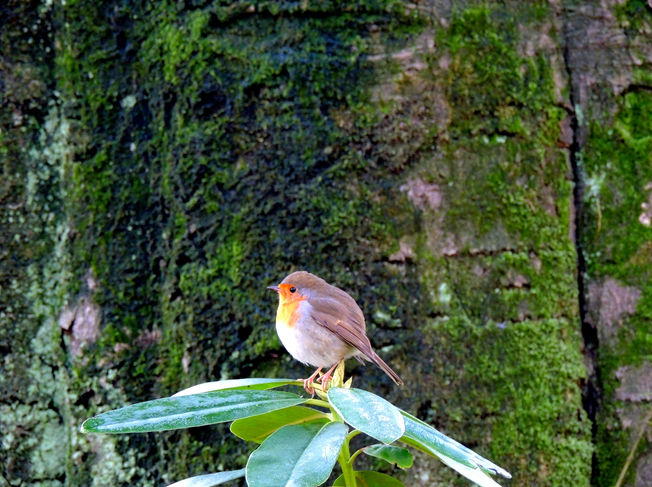 DSCN3160.JPG