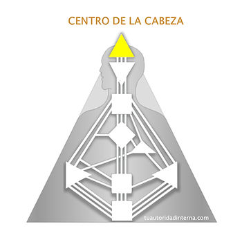 Gráfico de Diseño Humano. Centro de la Cabeza