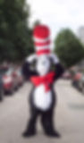 Cat in Hat