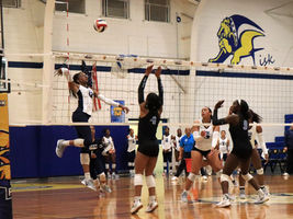 Fisk Volleyball Dominance Continues as They Roll Rust 3-0