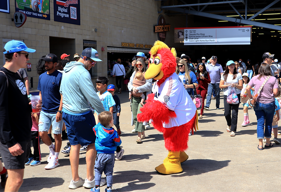 Sounds Rally Falls Short as Win Streak Ends in 4-2 Loss to Worcester