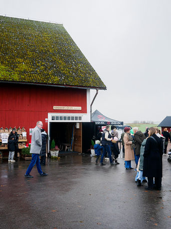 Adventsmarknad i Norrbyladan