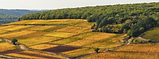 bourgogne.png
