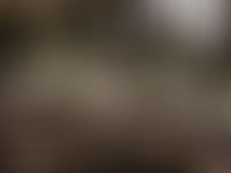 Wedding styling Perth reception table with natural light, elegant florals and layered tablescape design