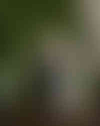 Perth wedding couple portrait at State Buildings with modern renaissance styling