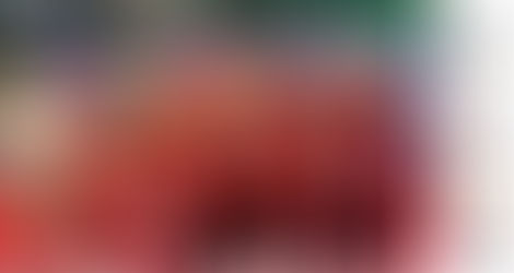 W AKADEMII ZAMOJSKIEJ - JEST MOC !!!