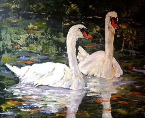 2 cygnes.webp