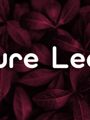 Impact of Pure Leela Limited