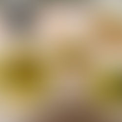 焼きそば　コンソメスープ　さつま芋のフレンチサラダ　ぶどうゼリー　麦茶