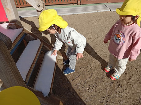 【1歳児もみじ組】冬の自然と…○○がやってきた！！