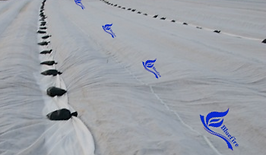 Frost blanket row cover