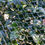 Thumbnail: Commercial grade polyethylene bird netting
