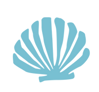 SHELLS-24.png
