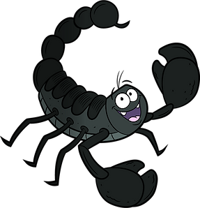 ZisZack (4).png