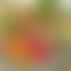 HE SIMPLICITY OF THE AEGEAN CUISINE OF TURKEY