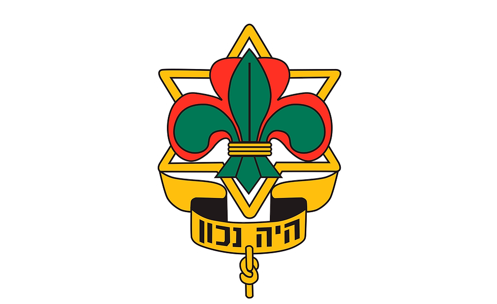 הצופים