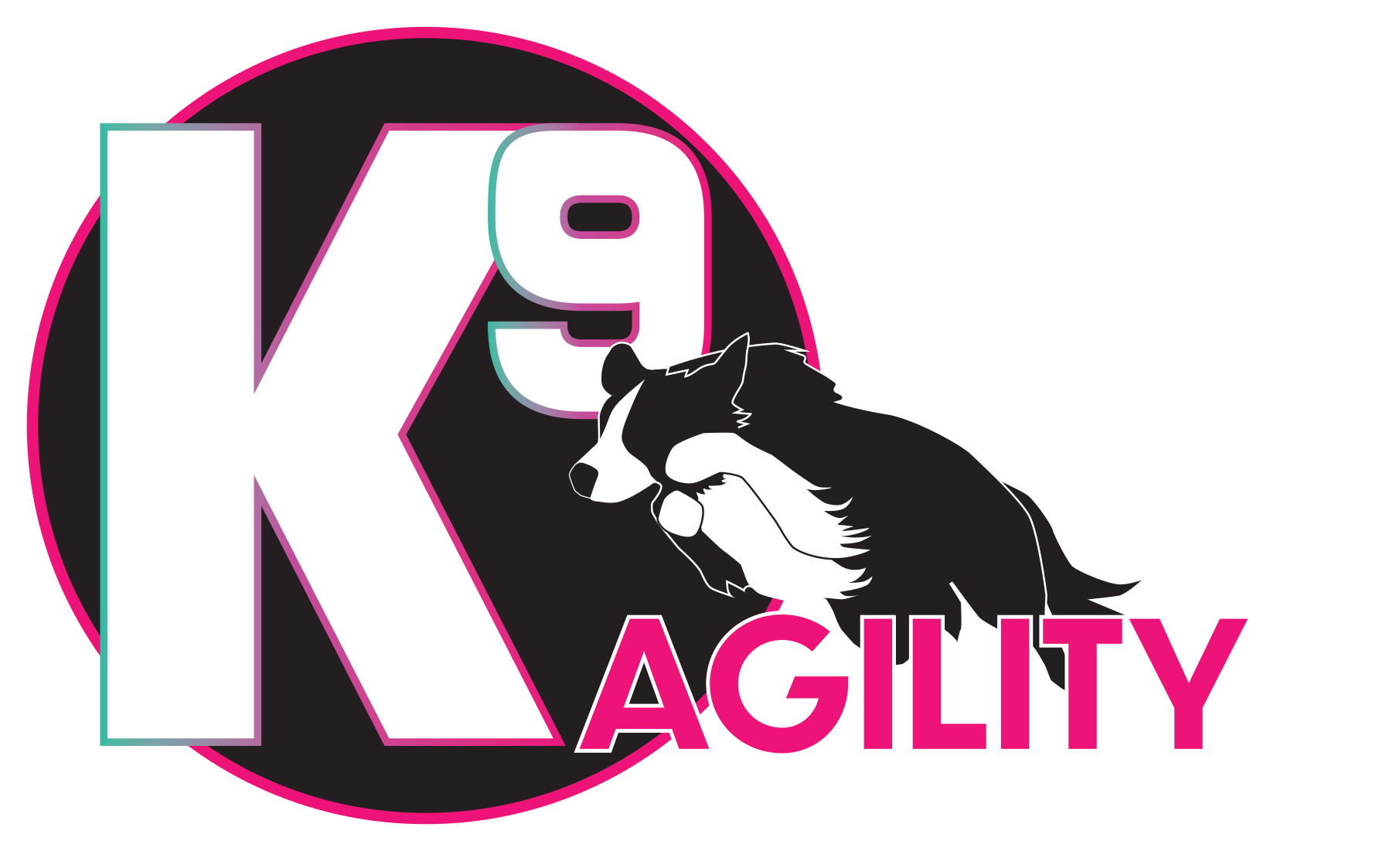 Dog Agility K9 Agility