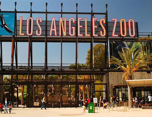 Los Angeles Zoo, a popular attraction located just minutes from the guest house