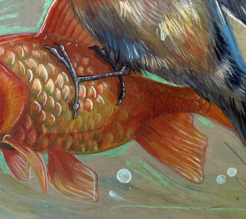 Miniaturbild: Schwalbe und Goldfisch