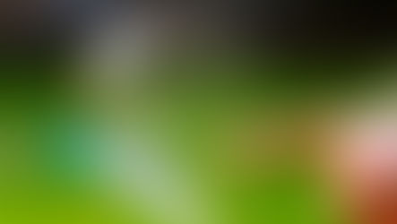 This App is Trying to Predict the Bitcoin Bubble Bursting Using AI