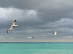 17150_877470924079_822669_49895852_3841004_n