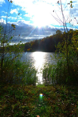 297964_10100628498455859_822669_60069735_875892158_n