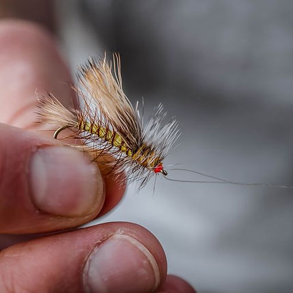 Dry Fly Stimulator.jpeg