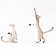 遊ぶ3匹の猫