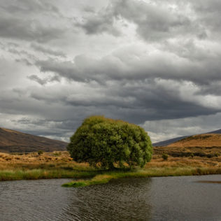 Adobe Photoshop, photo editing, photography workshop, photography course, photography retreat, learn photography, learn Photoshop, camera, photography, photography tuition, beginner photographer, advanced photographer, professional photographer, landscape photographer, nature photography, New Zealand photography, high country photography, Central Otago, Maniototo