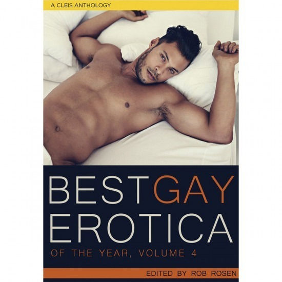 Best Gay Erotica of the Year Vol. 4