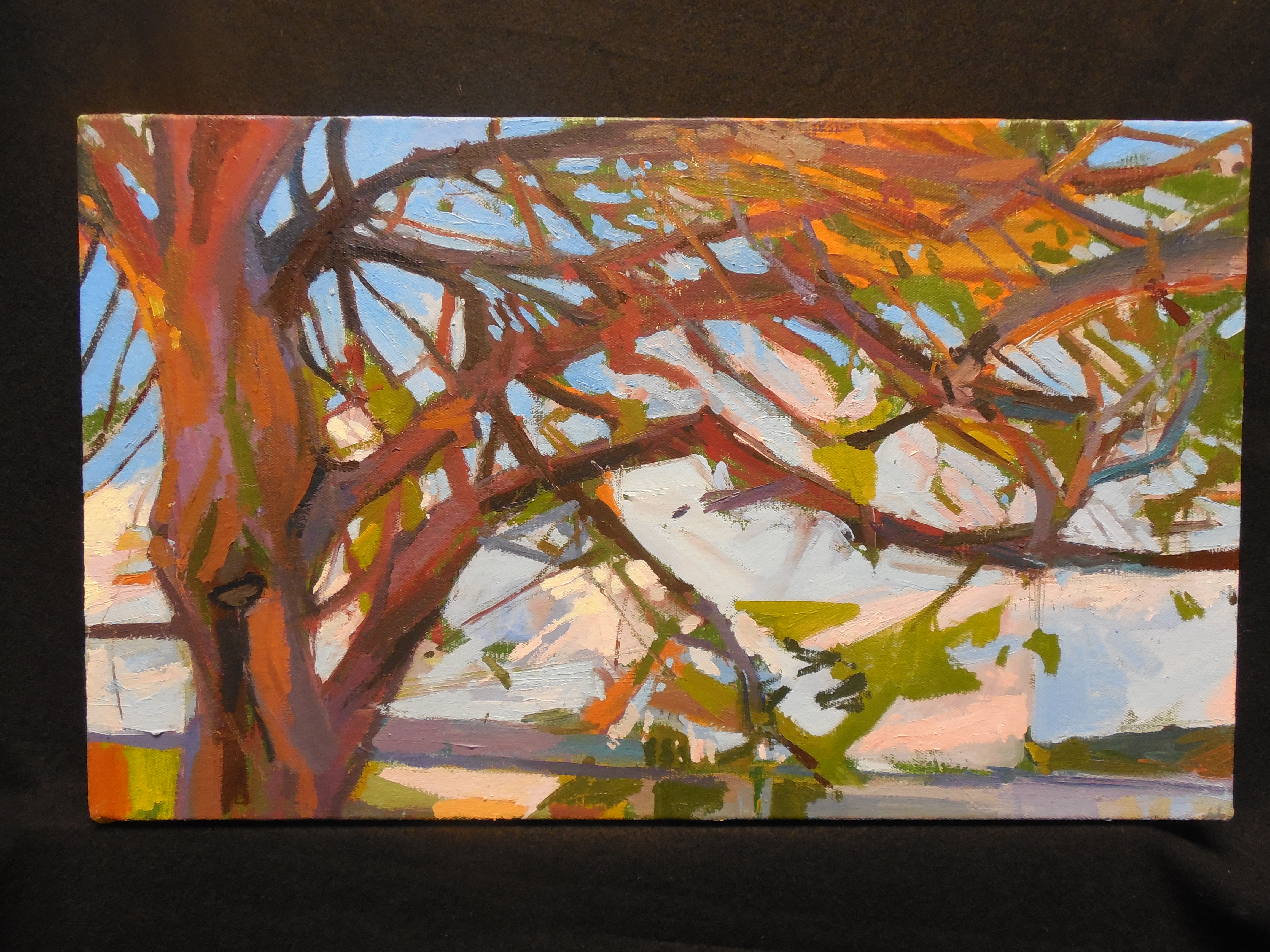 4. Lyles_Mesquite Stadium_Oil on Canvas_