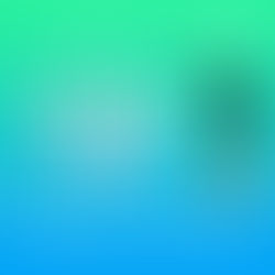 Padres en la Cuerda Floja | Palabras, Toque y Juego | Espisodio #34