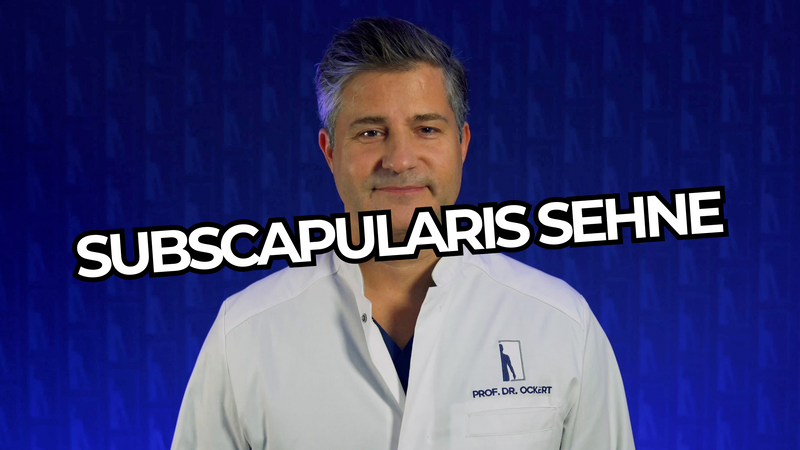 Prof. Ockert erklärt im Therapieplan Tutorial die Nachbehandlung nach anatomischer Schulterendoprothese