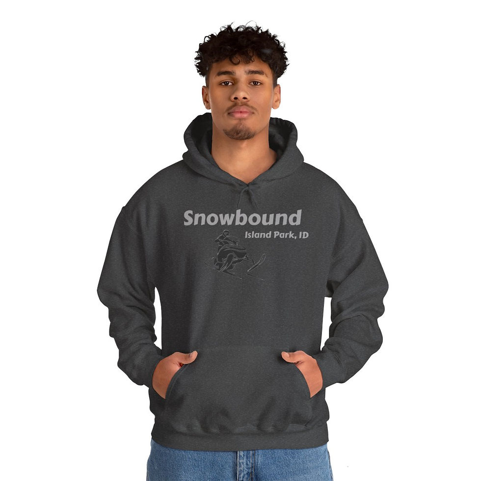 Thumbnail: "Snowbound" Unisex Heavy Blend™ Hooded Sweatshirt