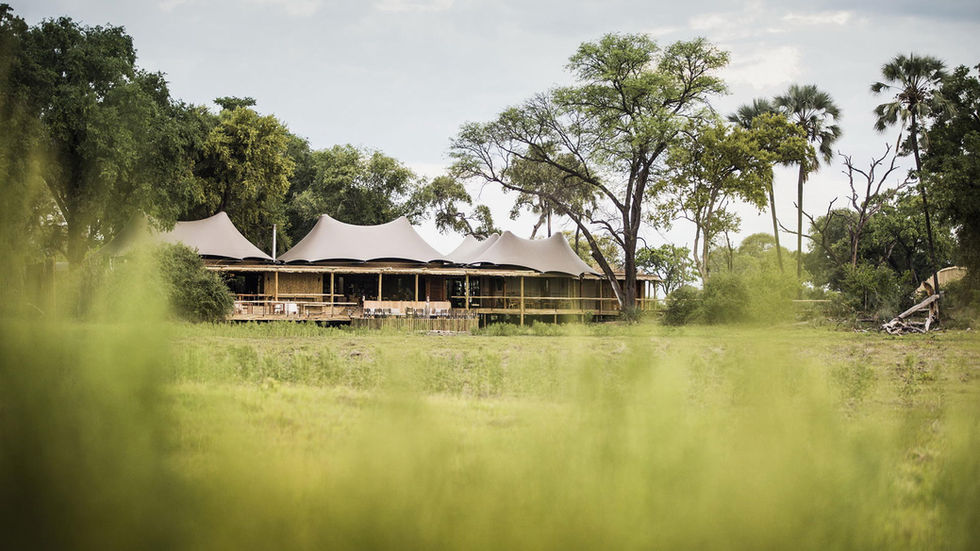 1_Mombo-Camp.jpg