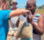 Team member and sterilisation action