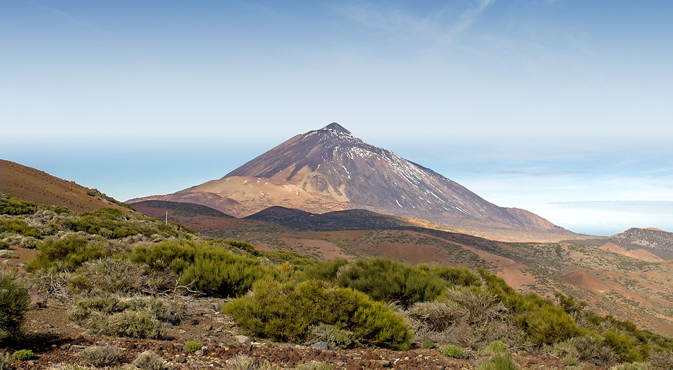 Teide-Mejorada-close2.jpg