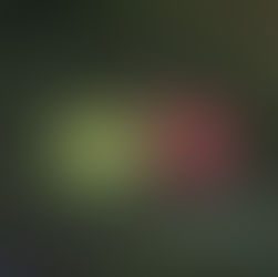 田又設計｜虎年新春斗方設計Risograph