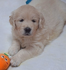 Mia baby photo.jpg