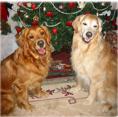 Fiona and Bailley xmas 2003.jpg