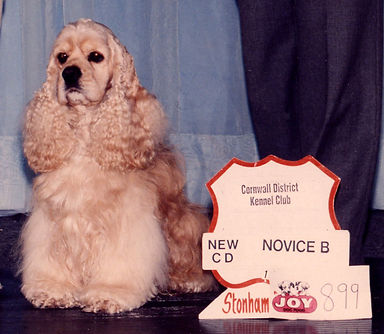 Jimmy CD title Cornwall KC 1993.jpg