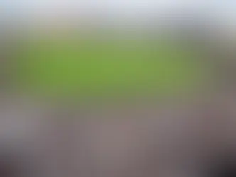 Changes Proposed at College Baseball's 'Carnegie Hall'