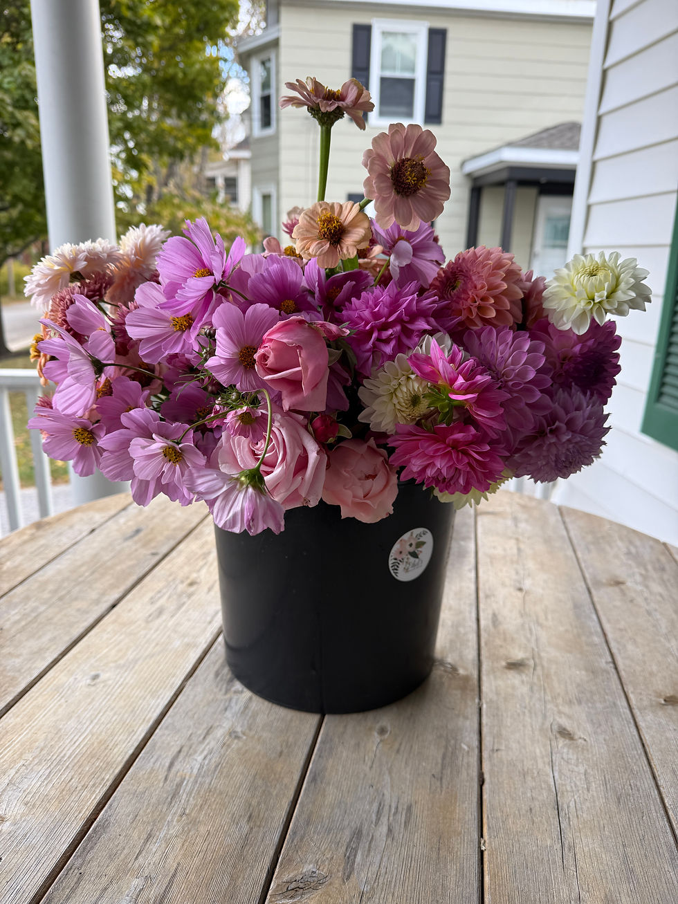 Thumbnail: Bucket of blooms with Big focal blooms